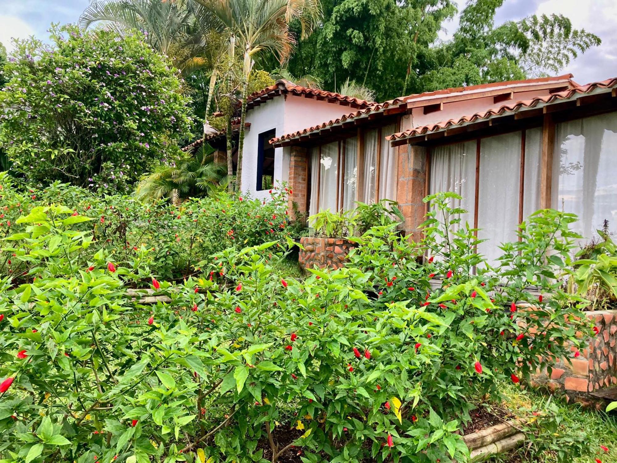 Vila Aldea Sabatinga Manizales Exteriér fotografie