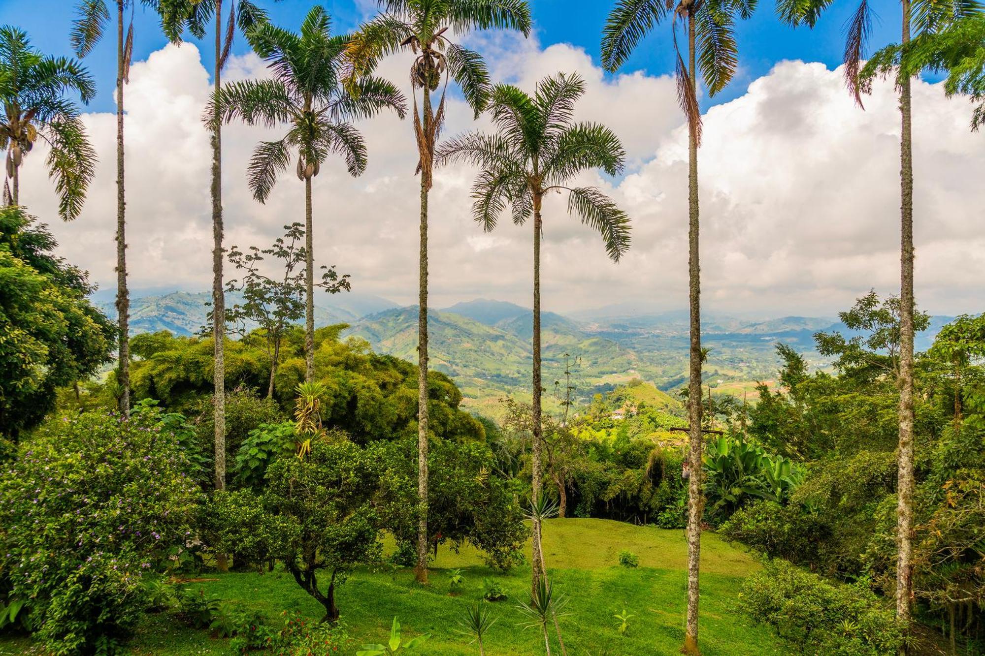 Vila Aldea Sabatinga Manizales Exteriér fotografie
