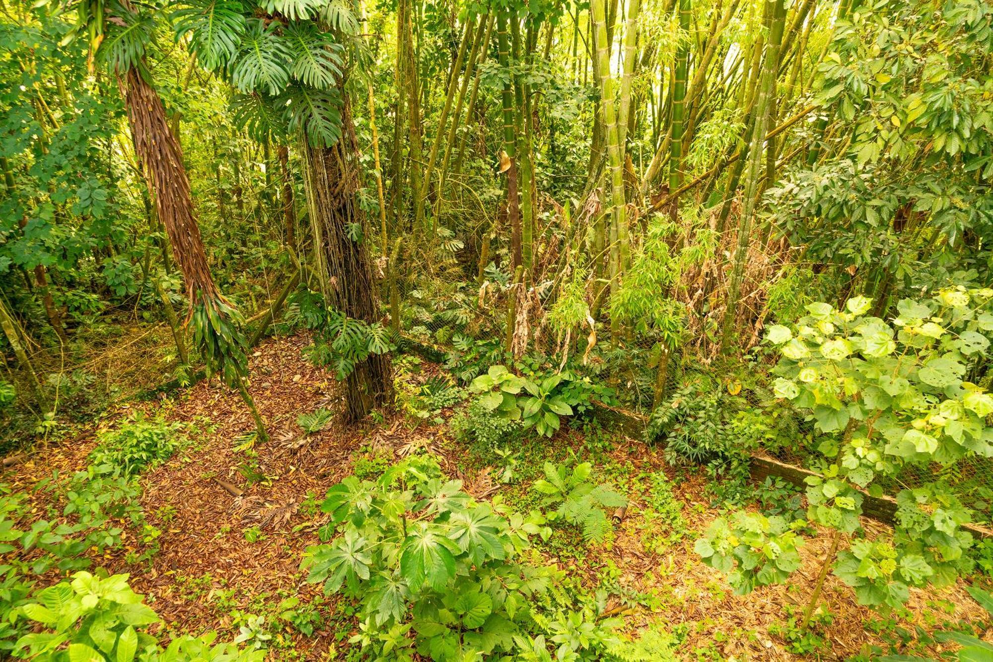Vila Aldea Sabatinga Manizales Exteriér fotografie