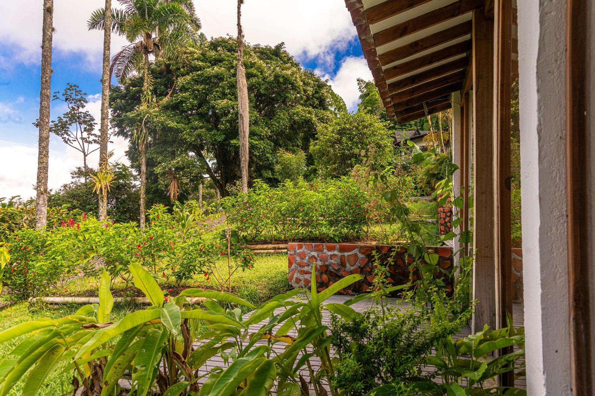 Vila Aldea Sabatinga Manizales Exteriér fotografie
