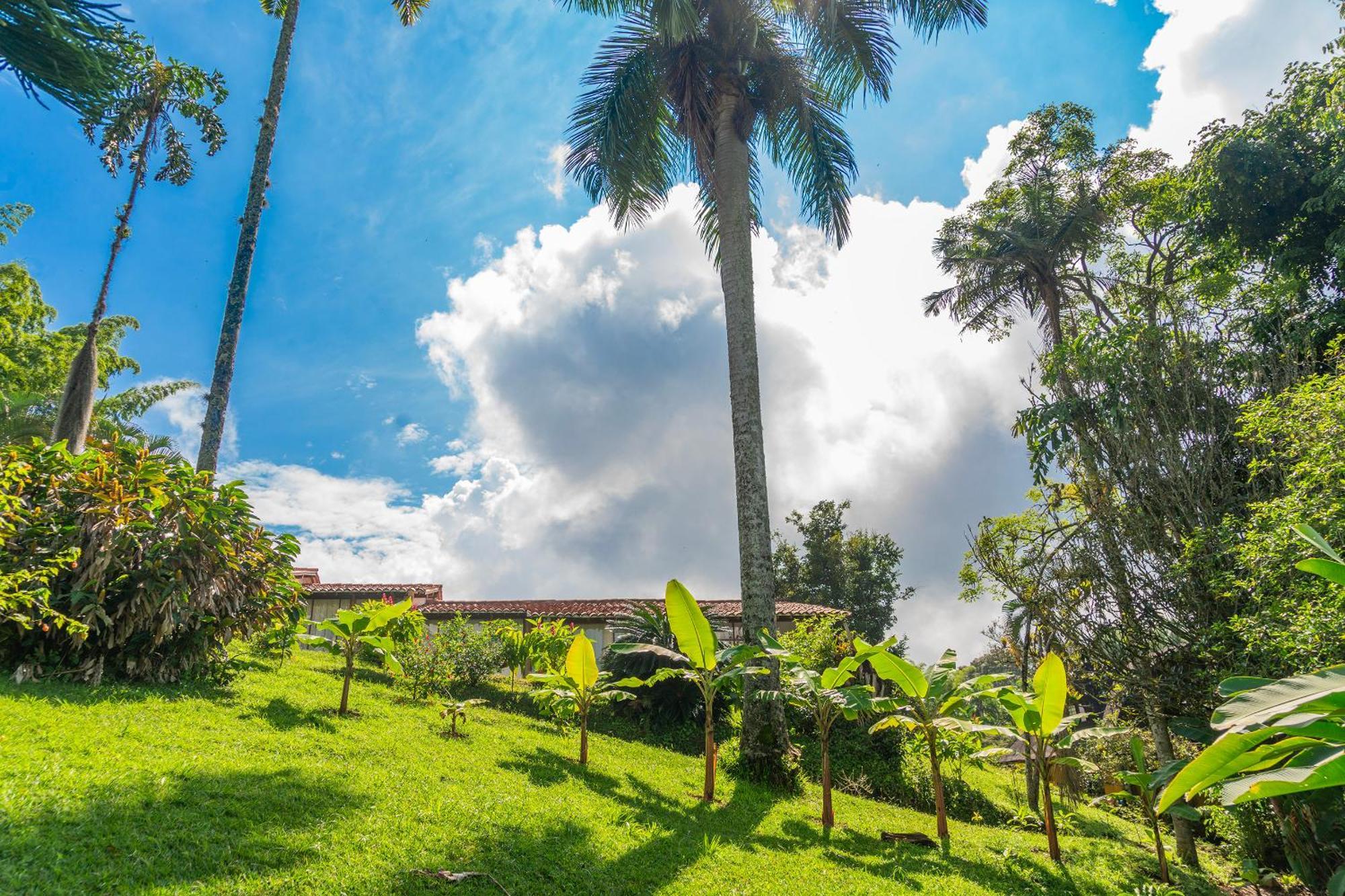 Vila Aldea Sabatinga Manizales Exteriér fotografie