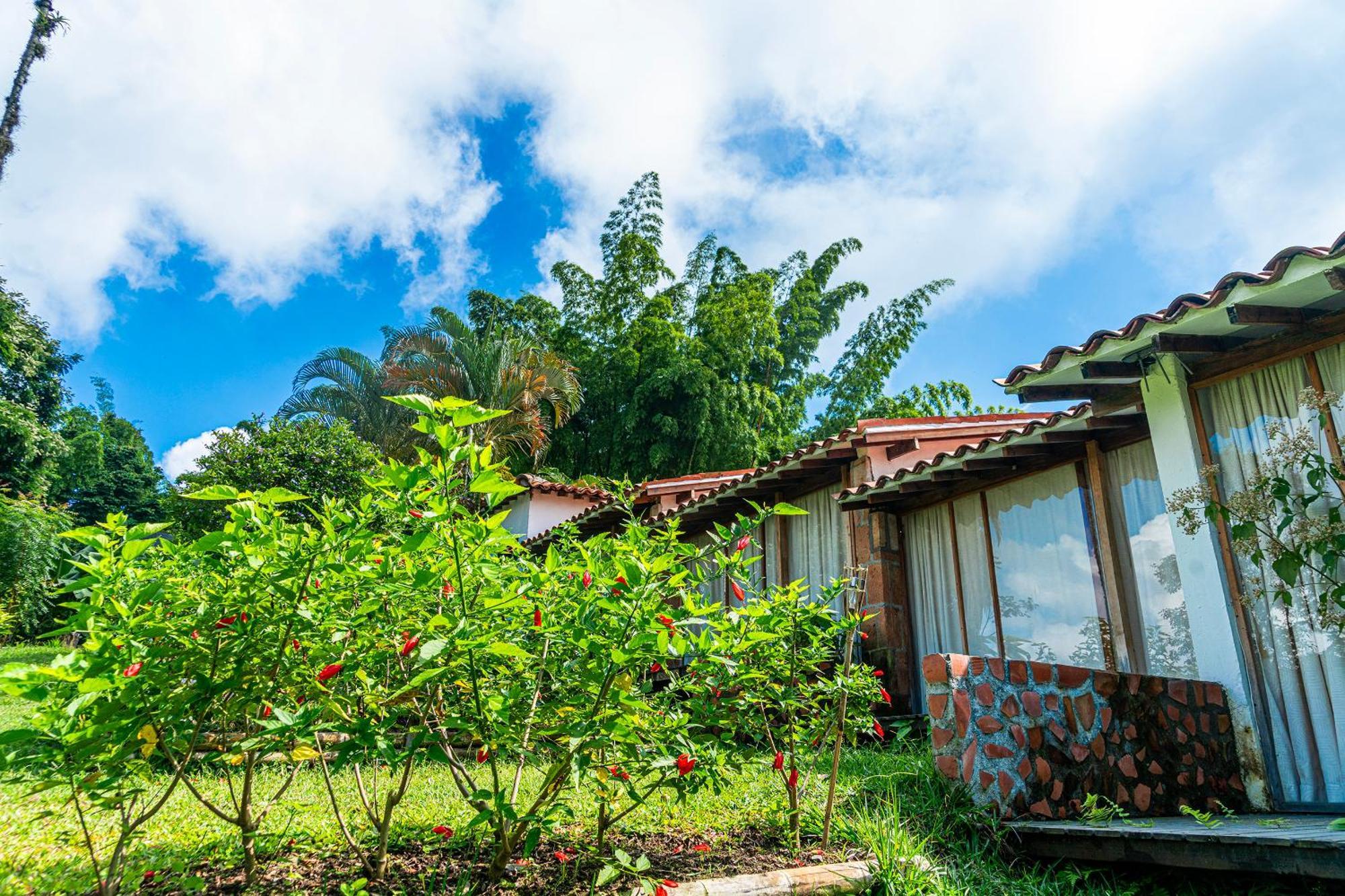 Vila Aldea Sabatinga Manizales Exteriér fotografie