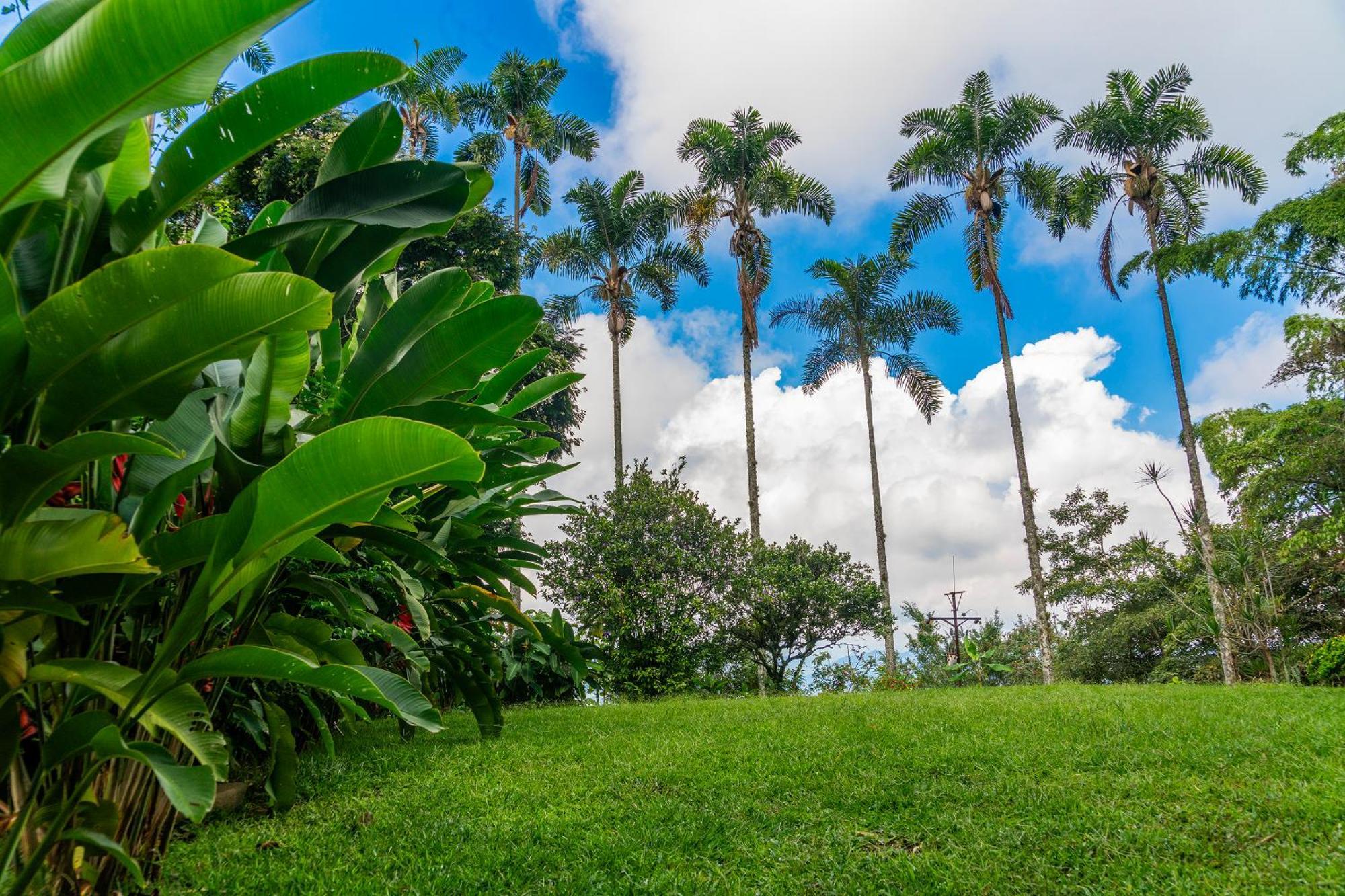 Vila Aldea Sabatinga Manizales Exteriér fotografie